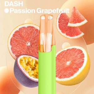Snowplus DASH 鴨嘴獸 4000口 一次性電子煙：圖片 3